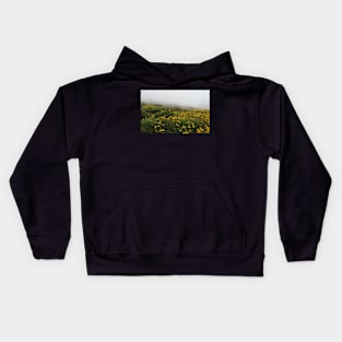 Flowers on Foggy Cliff in San Diego Kids Hoodie